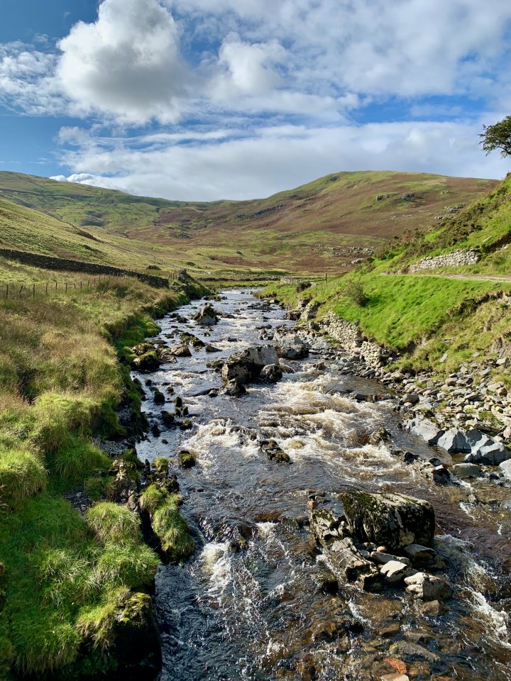 Grayrigg Forest / Whinfell Beacon / Winterscleugh