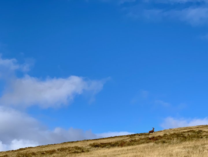 Grey Crag / Tarn Crag (Sleddale) / Branstree / Selside Pike