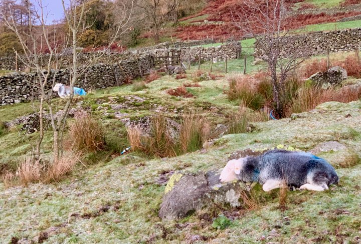 Yoke / Ill Bell / Froswick / Thornthwaite Crag / High Street / Mardale Ill Bell / Harter Fell (Mardale)