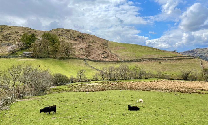 Arthur's Pike / Bonscale Pike / Loadpot Hill / Wether Hill / High Raise (High Street) / Steel Knotts / Hallin Fell