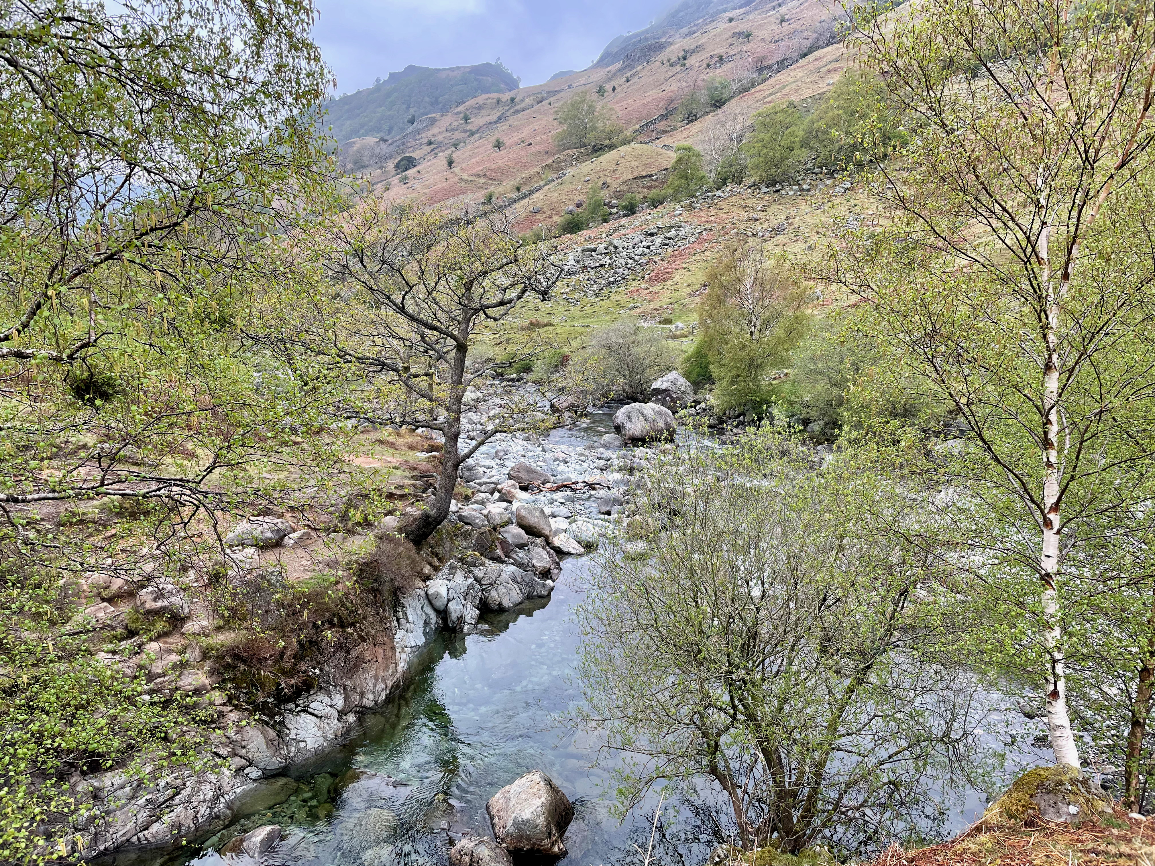 Allen Crags / Red Beck Top / Glaramara / Combe Head