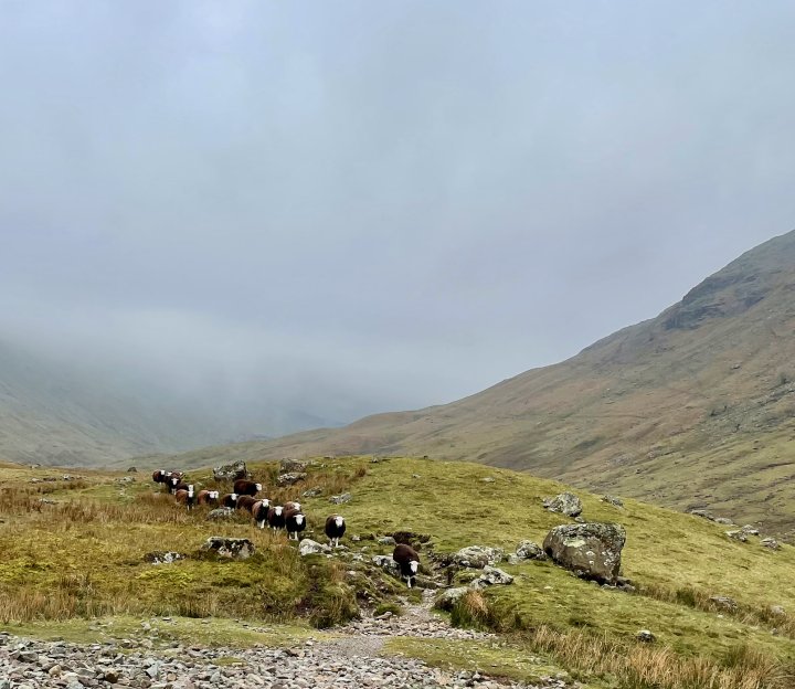Allen Crags / Red Beck Top / Glaramara / Combe Head