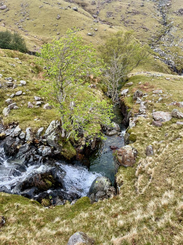 Allen Crags / Red Beck Top / Glaramara / Combe Head