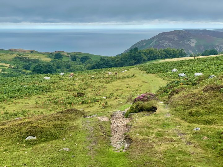 Conwy Morfa Beach / North Wales Path