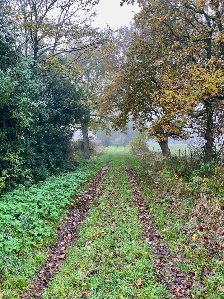 Delamere Way