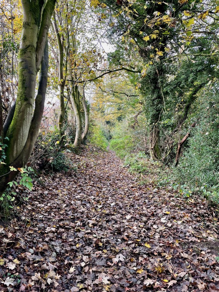Delamere Way