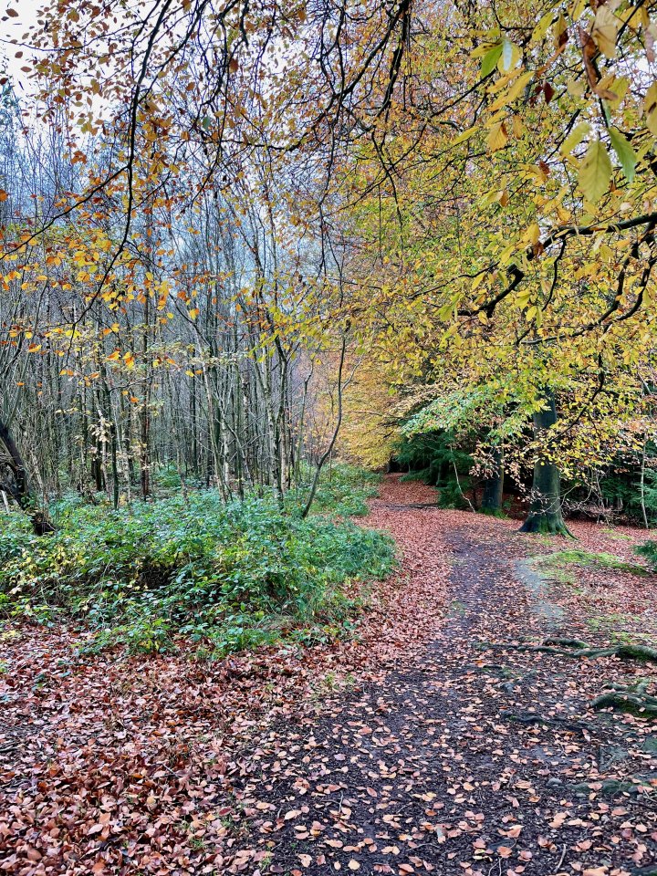 Delamere Way