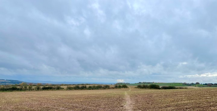 Delamere Way