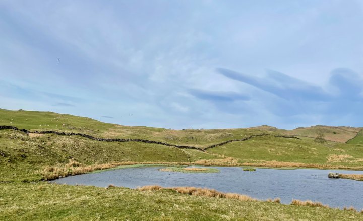 Ulgraves / Potter Fell - 2 / Potter Fell - 1 / Brunt Knott / Green Quarter / Hollow Moor / High Knott / Hugill Fell (Wainwright Summit) / Reston Scar