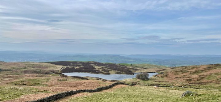 Ulgraves / Potter Fell - 2 / Potter Fell - 1 / Brunt Knott / Green Quarter / Hollow Moor / High Knott / Hugill Fell (Wainwright Summit) / Reston Scar