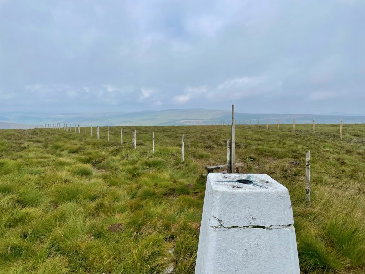 Windy Gyle / Bloodybush Edge / Cushat Law
