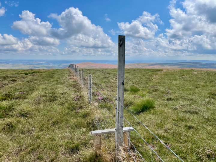 Windy Gyle / Bloodybush Edge / Cushat Law