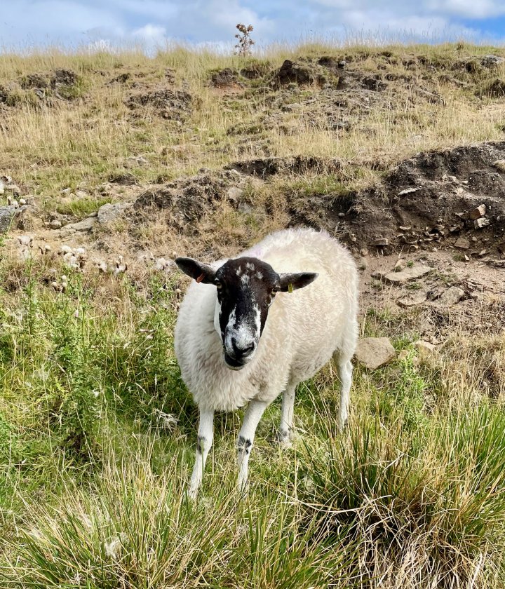Kinder Scout