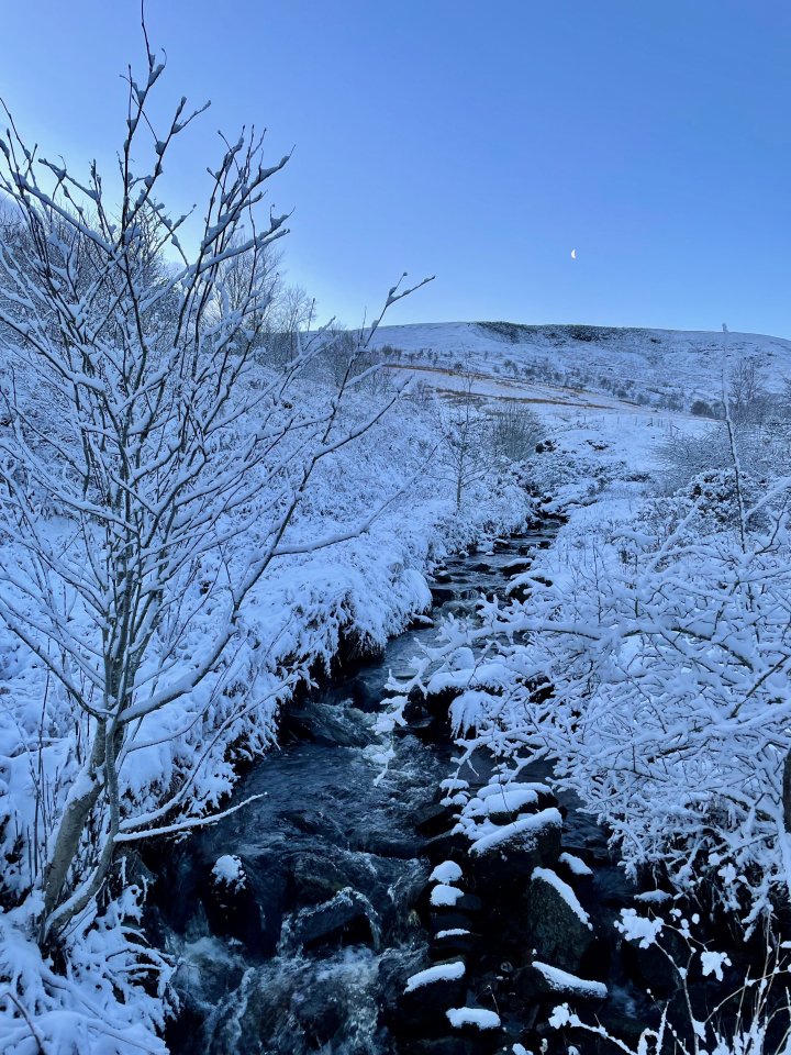 Cold Fell