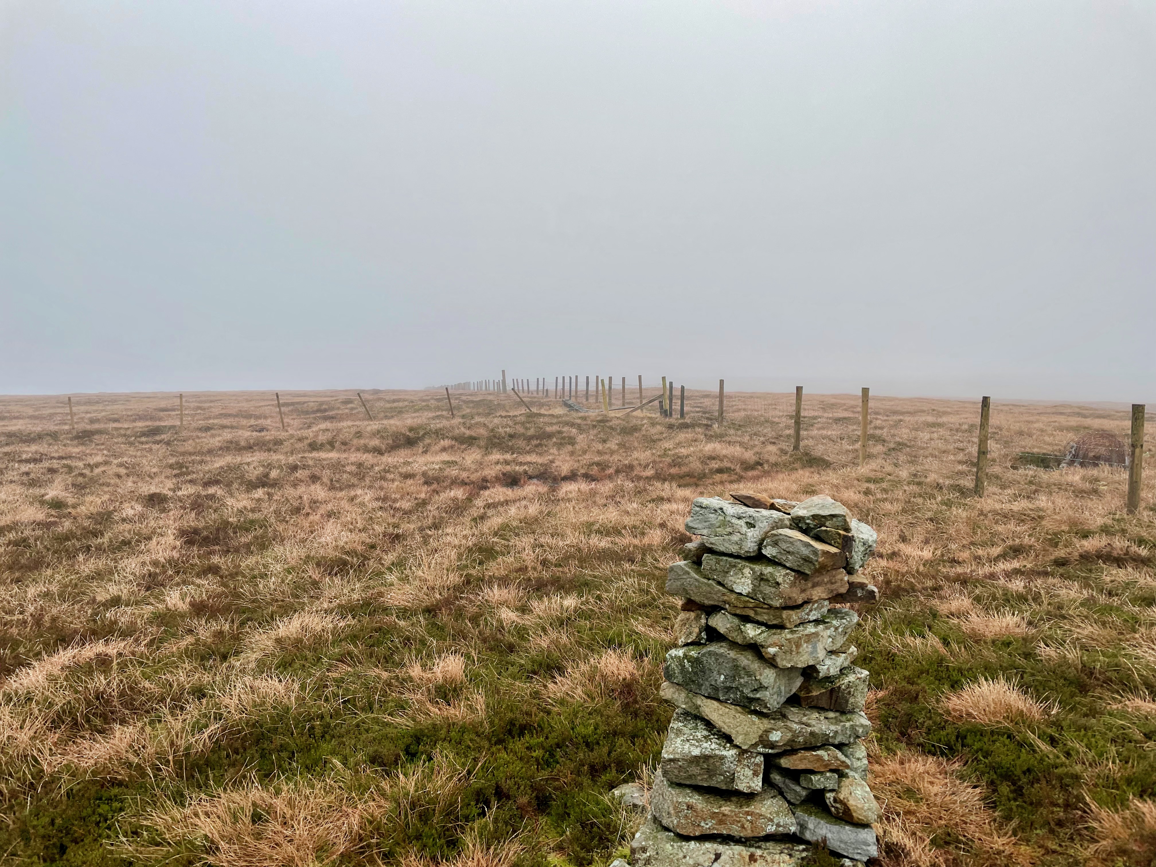 Middlehope Moor