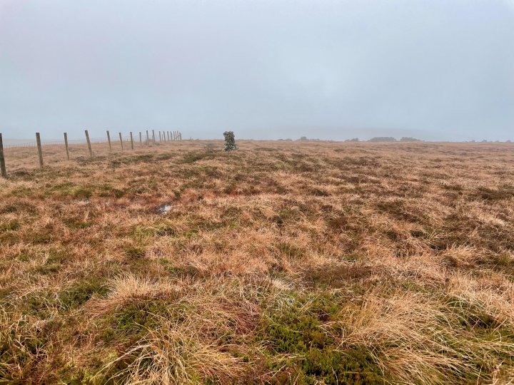 Middlehope Moor