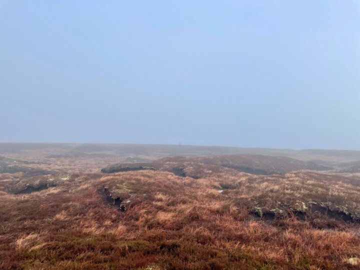 The Dodd