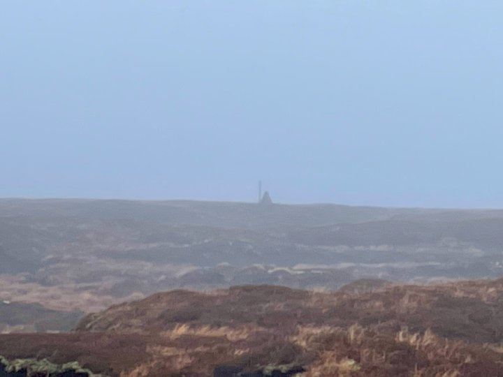 The Dodd