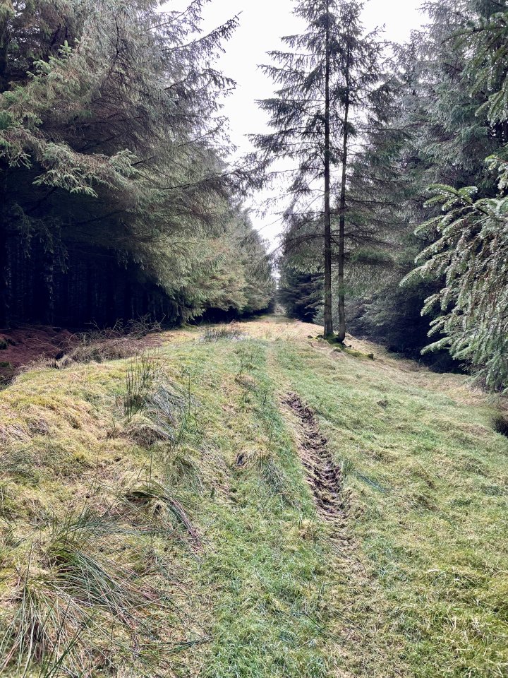 Flinty Fell