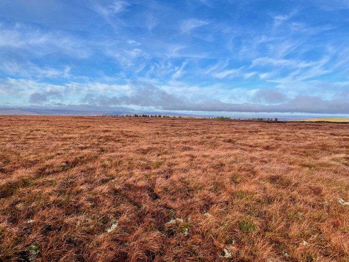 Flinty Fell