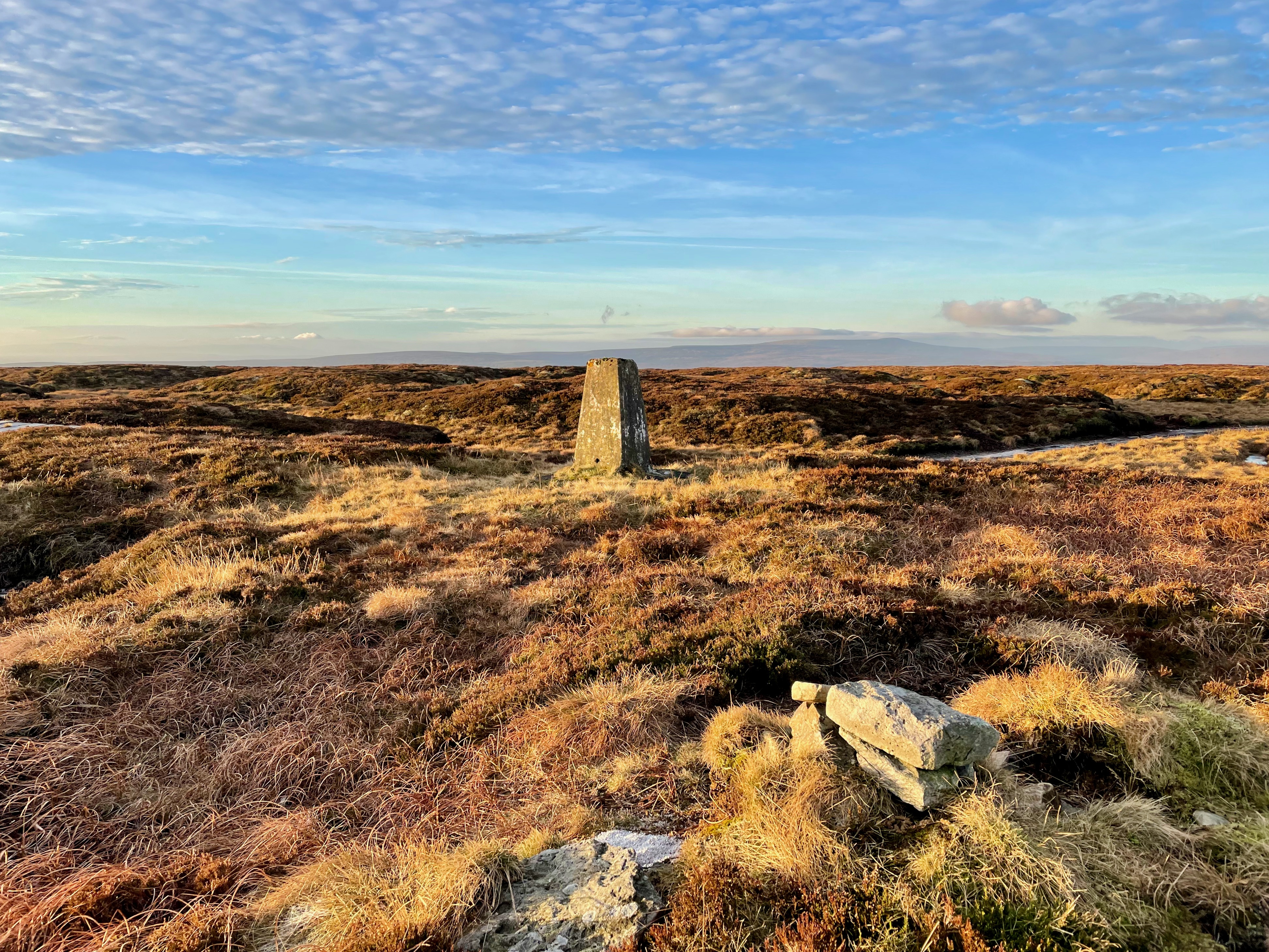 Westernhope Moor