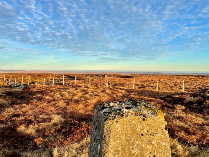 Westernhope Moor
