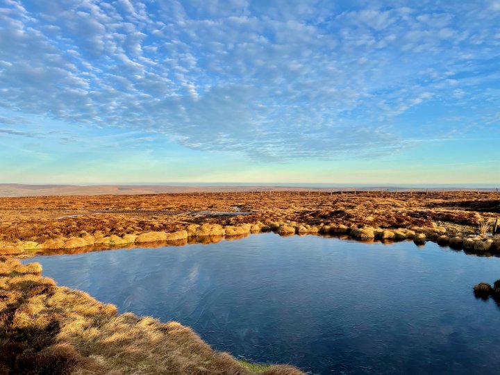 Westernhope Moor