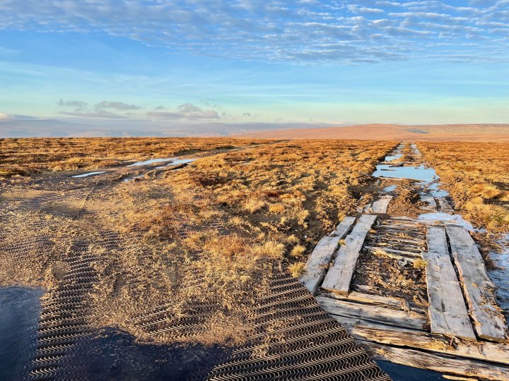 Westernhope Moor