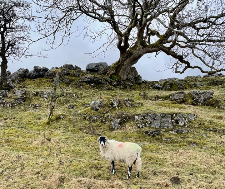 Yockenthwaite Moor