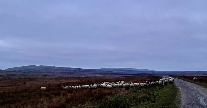 Mickle Fell / Little Fell