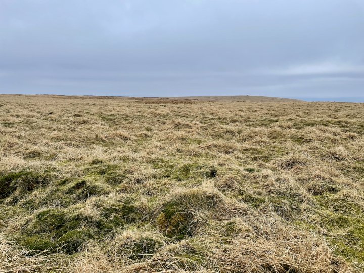 Mickle Fell / Little Fell
