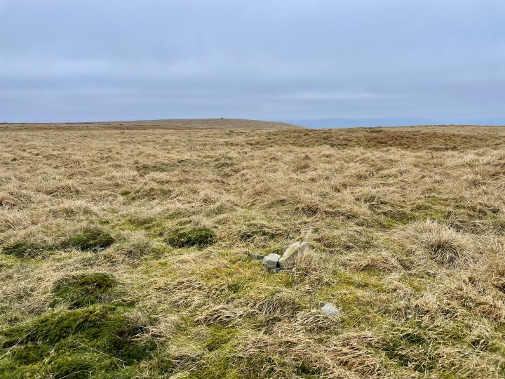 Mickle Fell / Little Fell