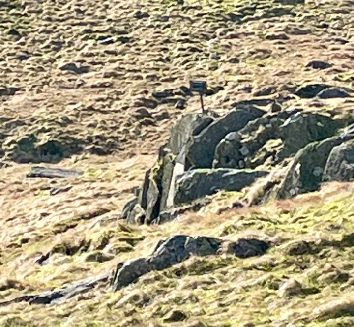 Striding Edge / Helvellyn / Nethermost Pike / Dollywaggon Pike