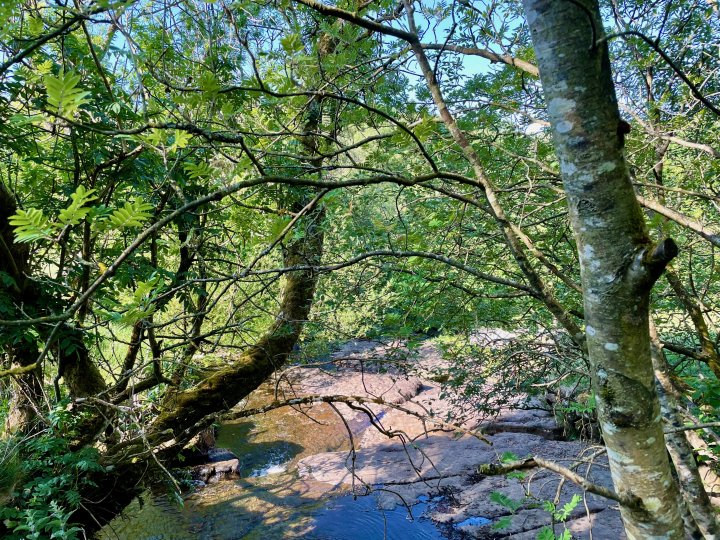 Coast To Coast - Day 6/9 - Keld To Richmond