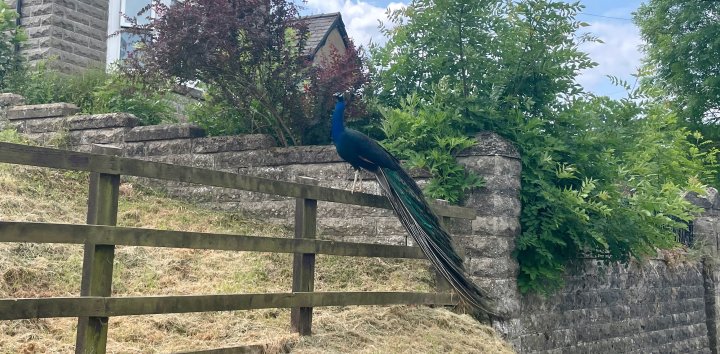 Coast To Coast - Day 9/9 - Blakey Ridge To Robin Hood's Bay