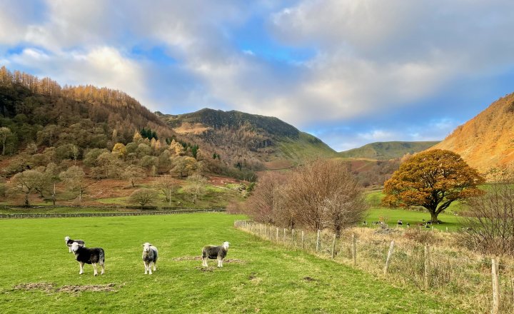 Stybarrow Dodd / Watson's Dodd / Great Dodd / Clough Head
