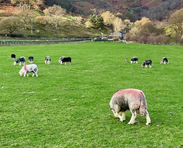 Stybarrow Dodd / Watson's Dodd / Great Dodd / Clough Head