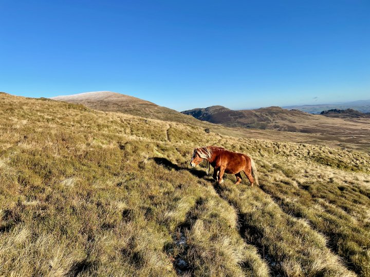 Pen yr Ole Wen / Carnedd Dafydd / Carnedd Llewelyn / Pen yr Helgi Du