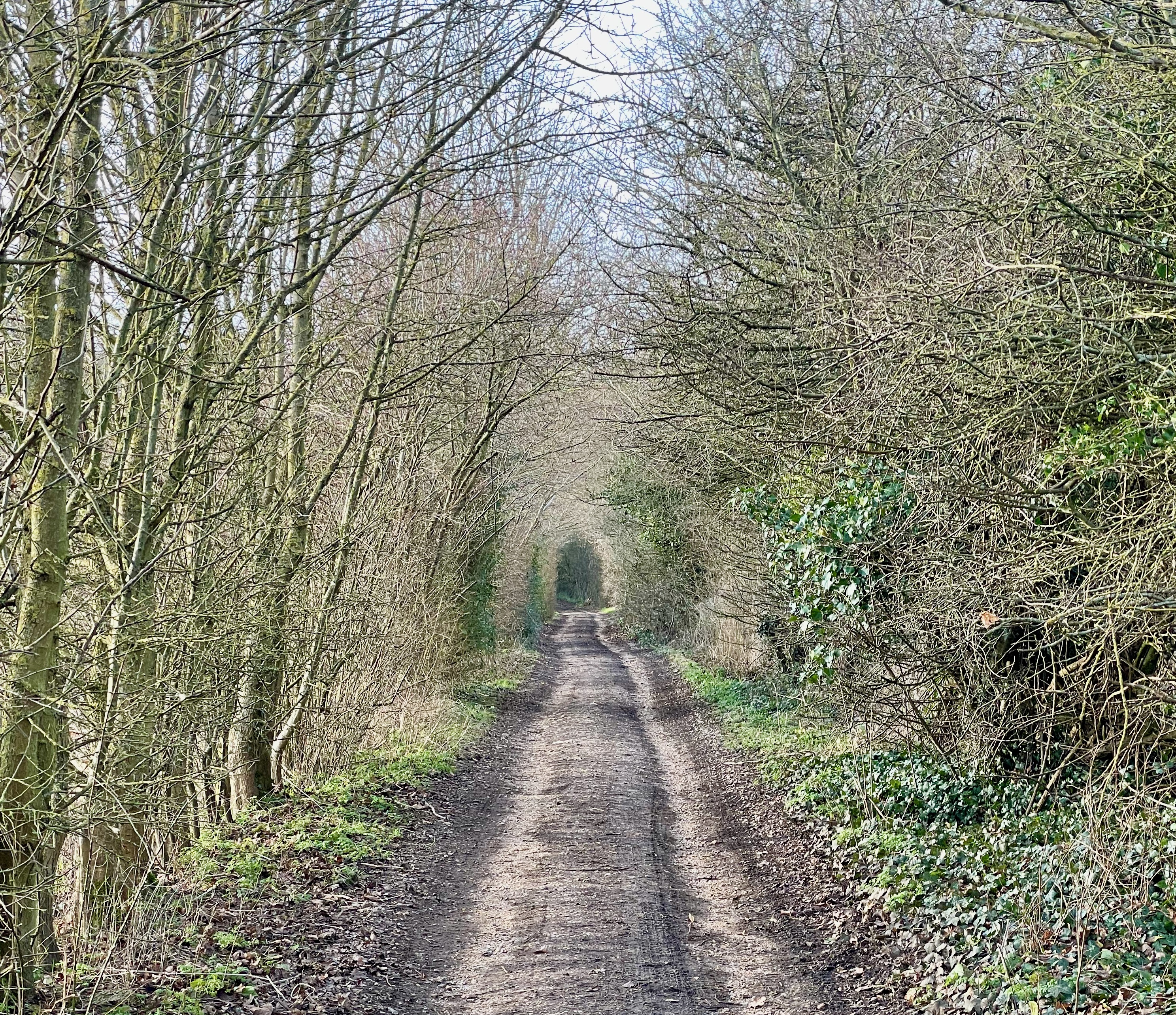 Cotswolds Circuit - Diamond Way / Macmillan Way / Monarch's Way