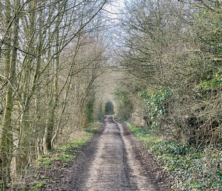 Cotswolds Circuit - Diamond Way / Macmillan Way / Monarch's Way
