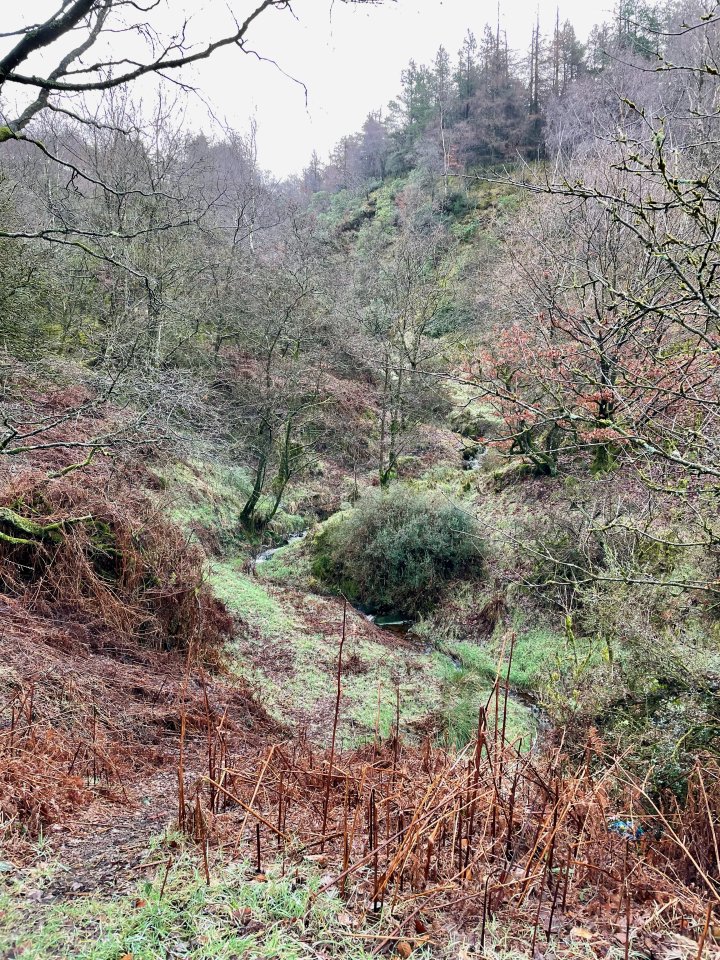 Winter Hill