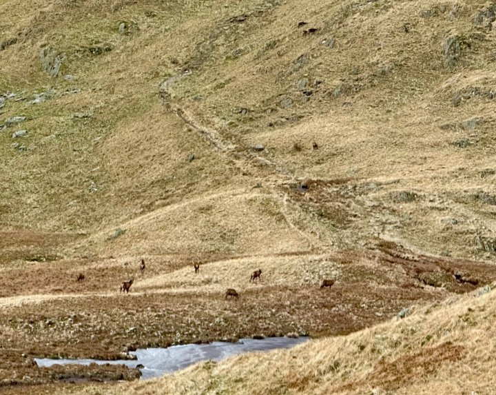 Rough Crag / High Street / Thornthwaite Crag / Froswick / Ill Bell / Yoke