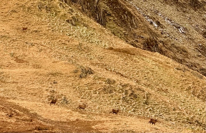 Rough Crag / High Street / Thornthwaite Crag / Froswick / Ill Bell / Yoke