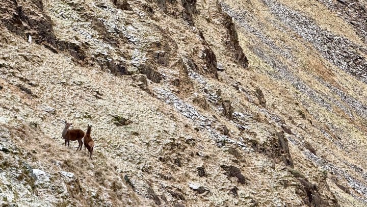Rough Crag / High Street / Thornthwaite Crag / Froswick / Ill Bell / Yoke