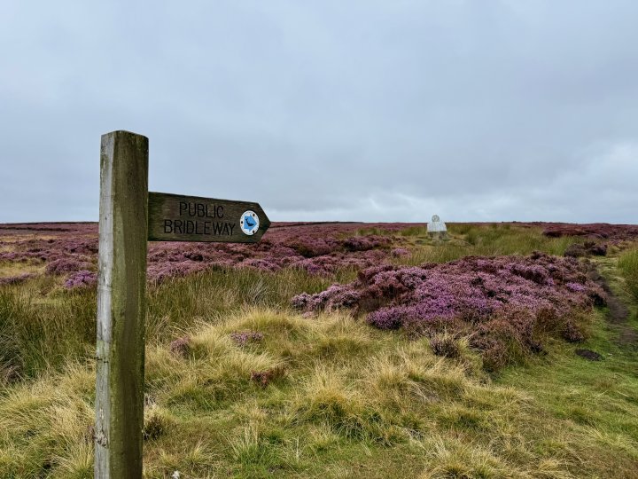Esk Valley Circuit