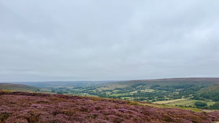Esk Valley Circuit