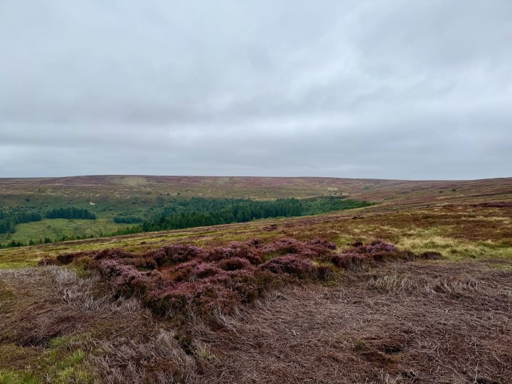 Esk Valley Circuit