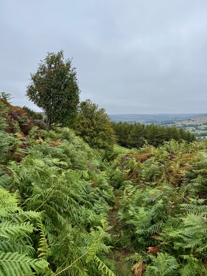 Esk Valley Circuit