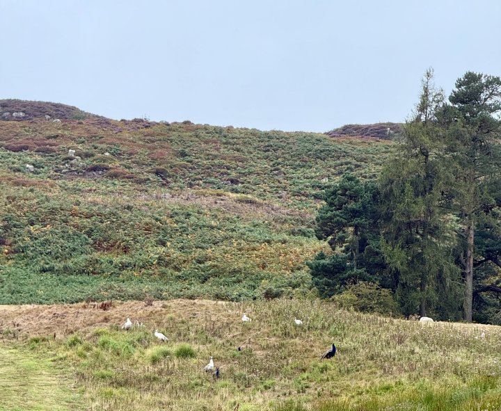 Esk Valley Circuit