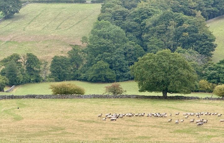 Esk Valley Circuit